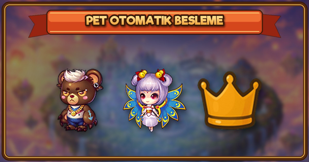 Pet Otomatik Besleme
